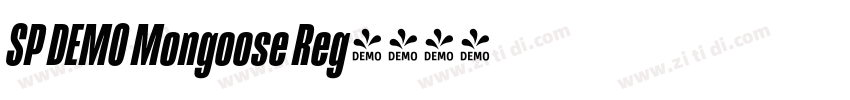 SP DEMO Mongoose Reg字体转换